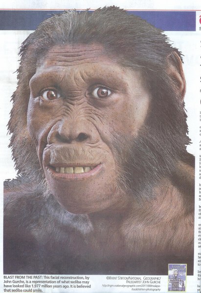 Afbeelding Sediba man