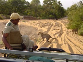 Wildpark