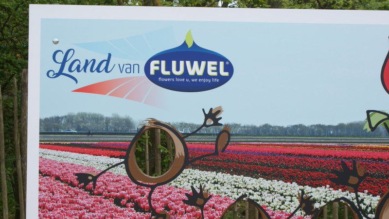 Land van Fluwel