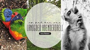 Hoenderdaell