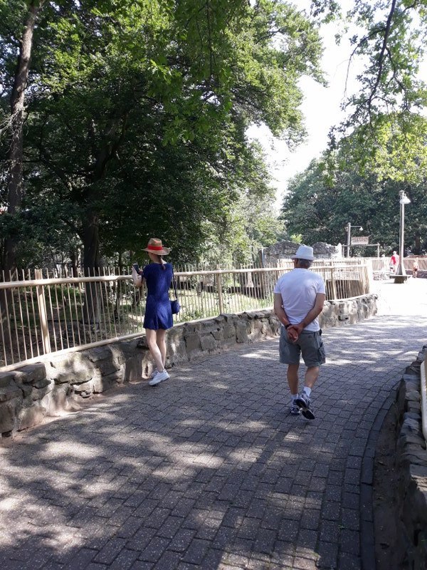 Bijna leeg park