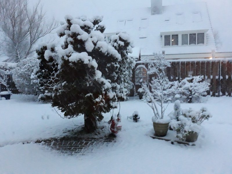 Sinterklaas met sneeuw