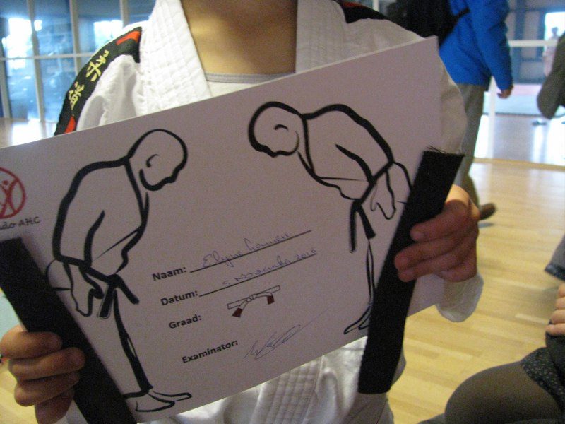 Diploma Elyne