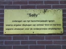 Sally3